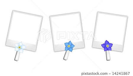 Blank Photos with Forget Me not Flowers Blank Photos with Forget Me not Flowers 14241867