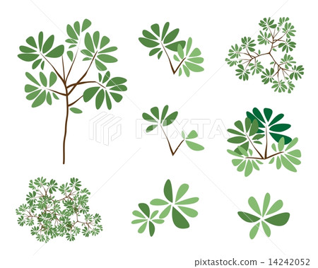 A Set of Isometric Green Trees and Plants 14242052