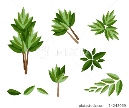 A Set of Isometric Evergreen Trees and Plants A Set of Isometric Evergreen Trees and Plants 14242069