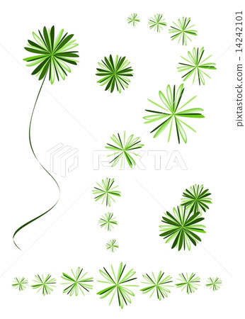 Fern Or Myers Asparagus Densiflorus Plant for Garden Decoration Fern Or Myers Asparagus Densiflorus Plant for Garden Decoration 14242101