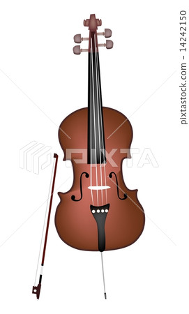 A Beautiful Brown Cello on White Background 14242150