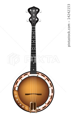 A Beautiful Brown Banjo on White Background 14242153