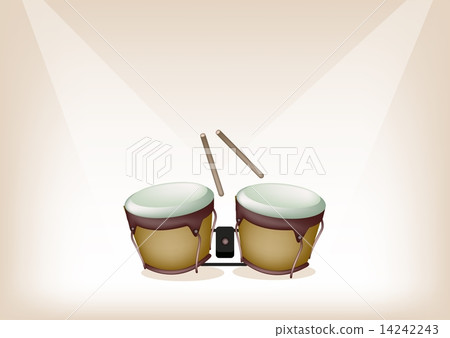 Beautiful Bongo on Brown Stage Background 14242243