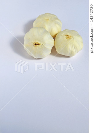Garlic (Ootake) 14242720