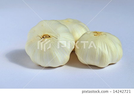 Garlic (Ootake) 14242721