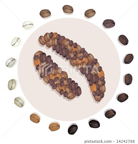 Different Roasted Coffee Bean with Civet Coffee Beans 14242788