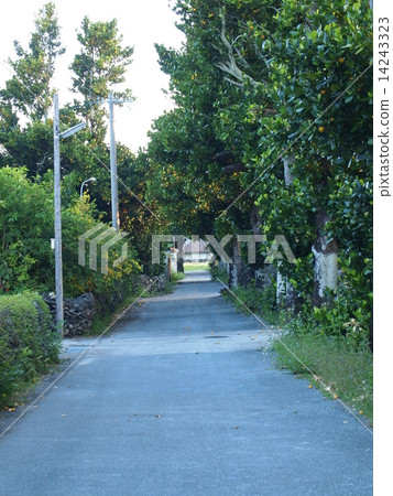 一條路 一條路 14243323