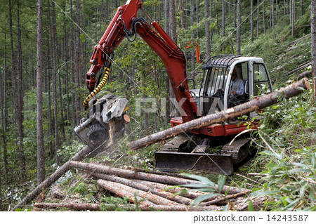 木材收穫 14243587