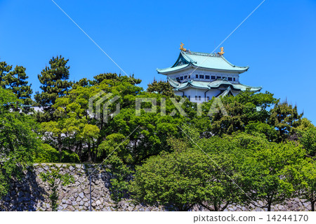 Nagoya castle in May Nagoya castle in May 14244170