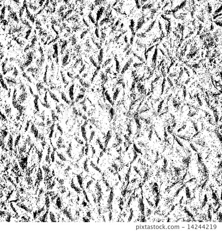 Birdprint Texture Birdprint Texture 14244219