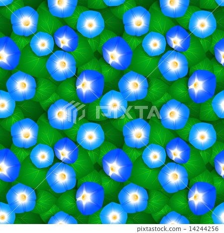 Seamless pattern with ipomoea flowers 14244256