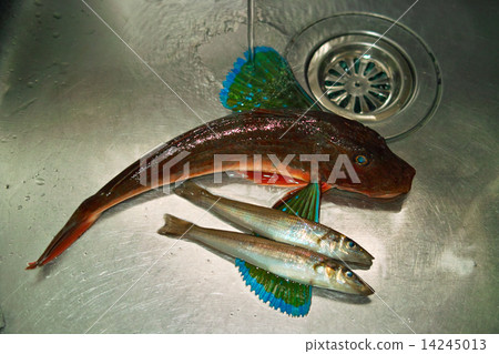 Kid with a stick Kid with a stick 14245013