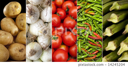 fresh vegetables-圖庫照片 [14245204] - pixta