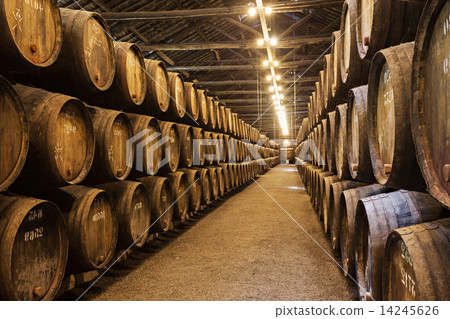Wine cellar, Porto 14245626