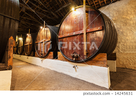 Wine cellar, Porto Wine cellar, Porto 14245631