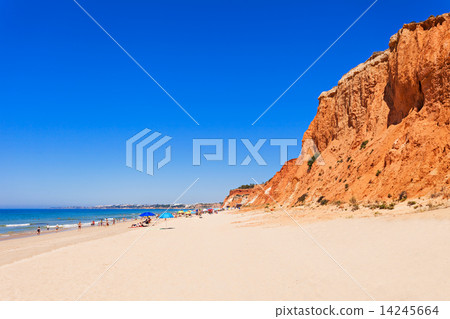 Falesia beach 14245664