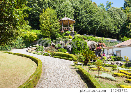 Garden at Bom Jesus 14245781