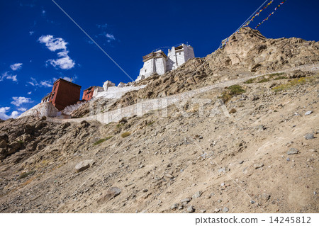 Namgyal Tsemo Gompa 14245812