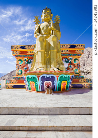 Likir Monastery 14245992