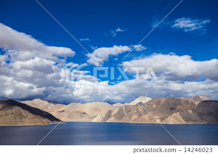 Pangong Lake 14246023