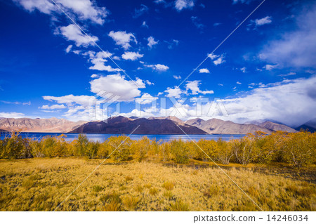 Pangong Lake Pangong Lake 14246034