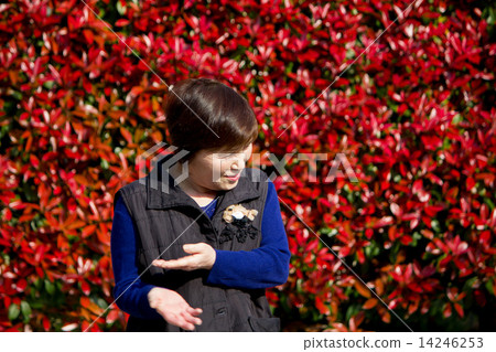 阿姨的笑容 阿姨的笑容 14246253