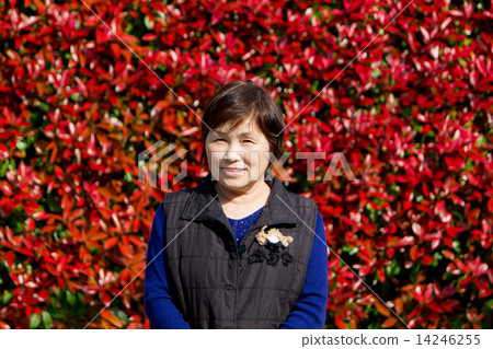 阿姨的笑容 14246255