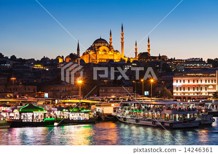 The Suleymaniye Mosque The Suleymaniye Mosque 14246361