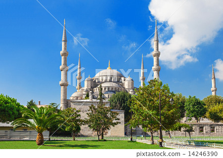 The Blue Mosque 14246390