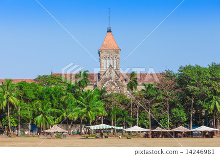 Bombay High Court 14246981