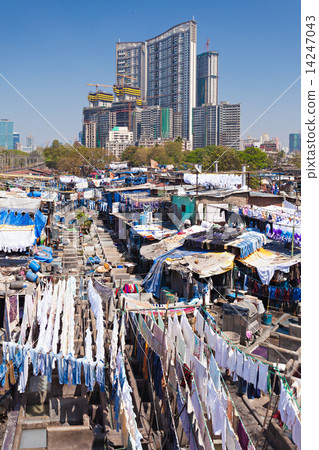 Dhobi Ghat, Mumbai Dhobi Ghat, Mumbai 14247043