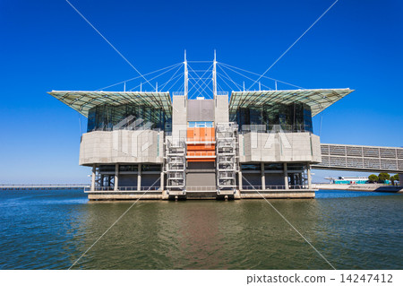 The Lisbon Oceanarium 14247412