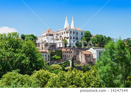 Sintra National Palace Sintra National Palace 14247544