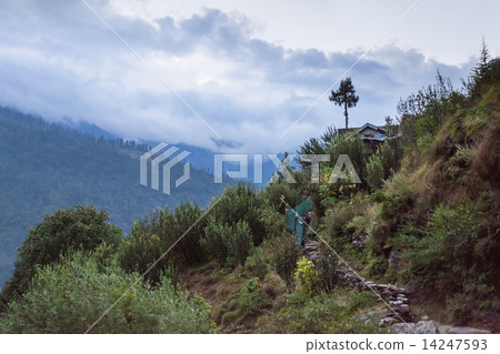 Beautiful forest in Manali on sunset, Himachal Pradesh, India Beautiful forest in Manali on sunset, Himachal Pradesh, India 14247593