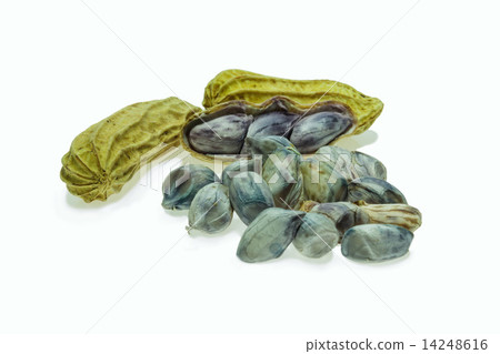 Boiled peanuts. 14248616