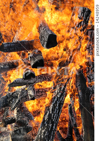 Fire, burning logs Fire, burning logs 14248959