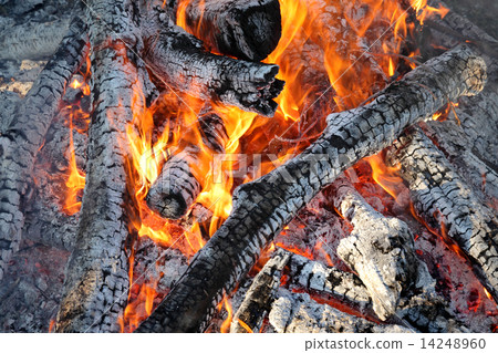 Fire, burning logs Fire, burning logs 14248960