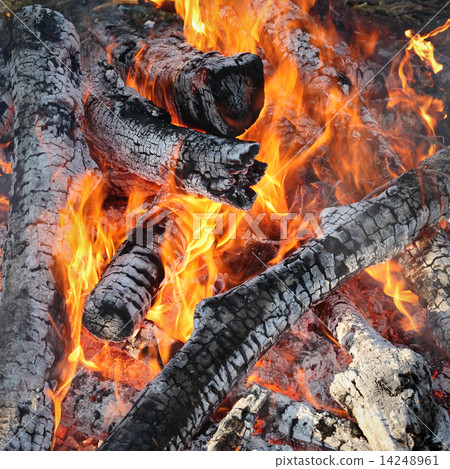 Fire, burning logs 14248961