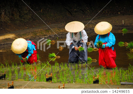 Festival Inagi no Rotenki Festival 14249655