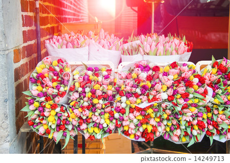 Sale of tulips in the Dutch market. 14249713