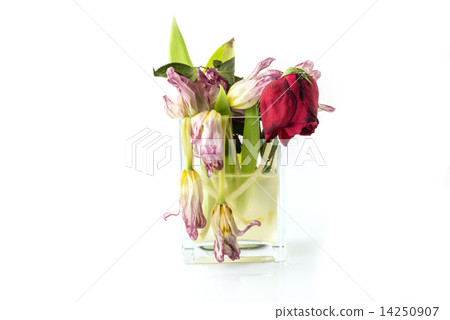 A vase full of withered and dead flowers 14250907
