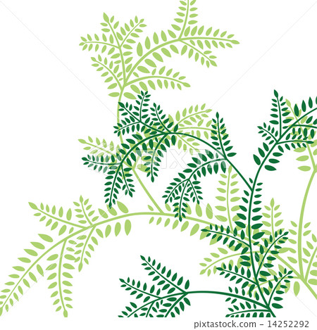 Kyoto pattern 14252292