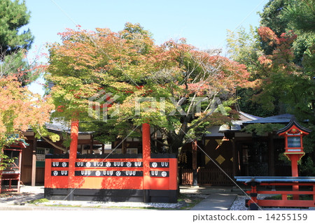 Car fracture shrine 14255159
