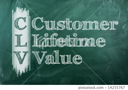 Custumer Lifetime Value Custumer Lifetime Value 14255767
