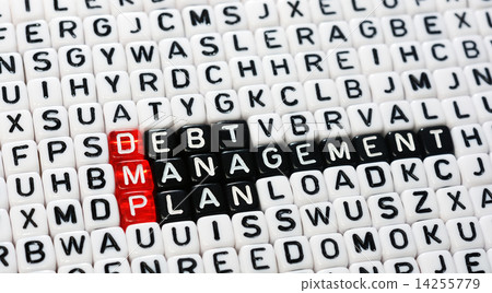 DMP ,Debt Management Plan 14255779