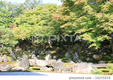 Entokuin Entokuin 14255819