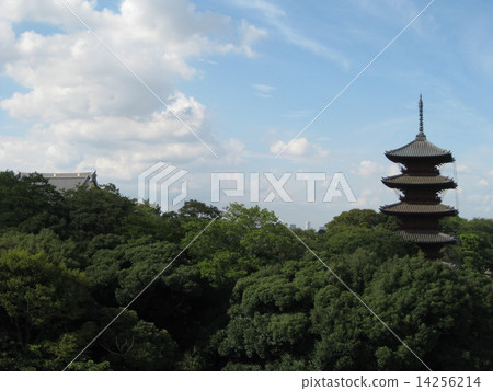 Honmonji 5層寶塔 14256214