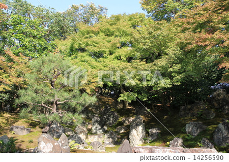 Entokuin Entokuin 14256590