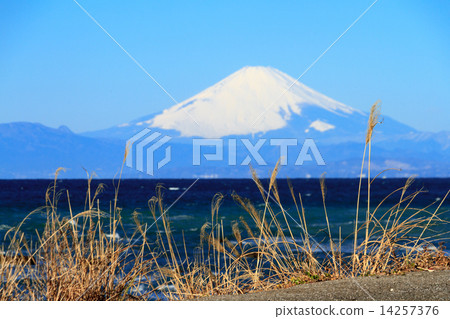 在Akitani海岸的冬天 在Akitani海岸的冬天 14257376