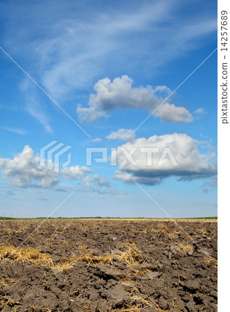 Agriculture, ground in field Agriculture, ground in field 14257689